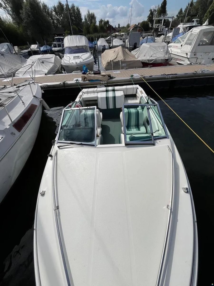 Sea Ray Barche: Motorboot Sea Ray – Usato da Kirchdorf BE venduto da Stefuuu3 1