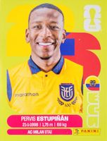 Panini FIFA World Cup ECU 5