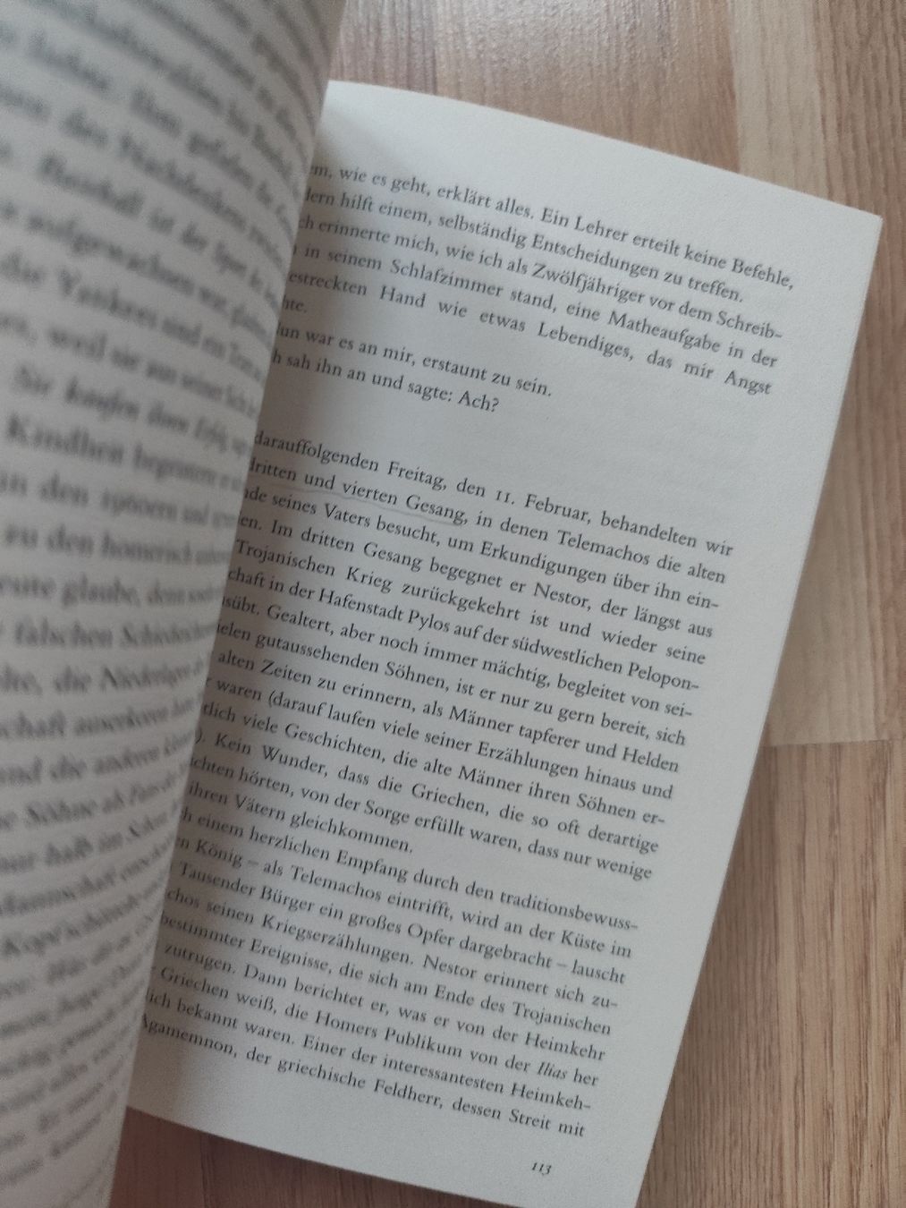 Libri: Daniel Mendelssohn Eine Odyssee – Usato da Mägenwil venduto da VintageGirly 3