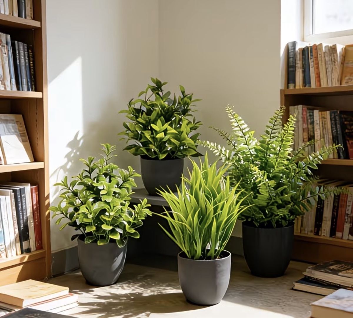 Piante & sementi: Set de 4 plantes artificielles – Nuovo e nell'imballaggio originale da Châtel-St-Denis venduto da Montclair_Swiss 3