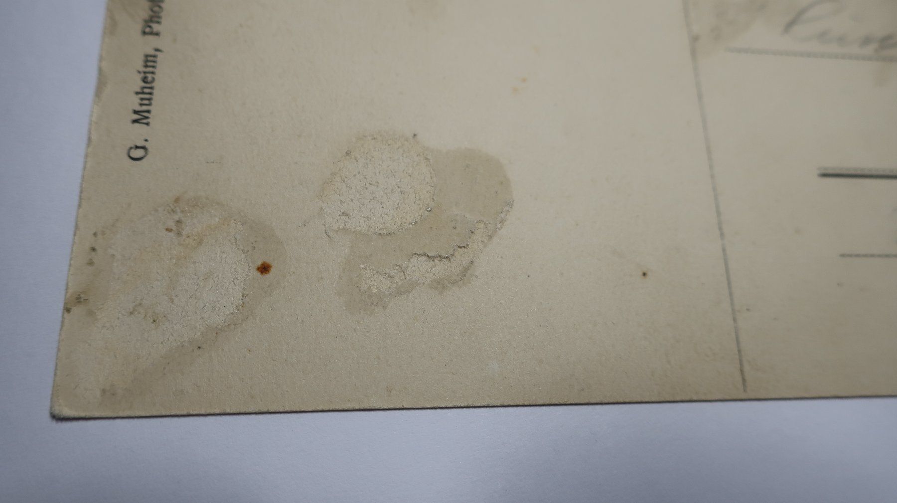 Cartoline postali: Gruss aus Eggiswil   Bären  1923 – Difettoso da Cormoret venduto da Pascalll2001 7