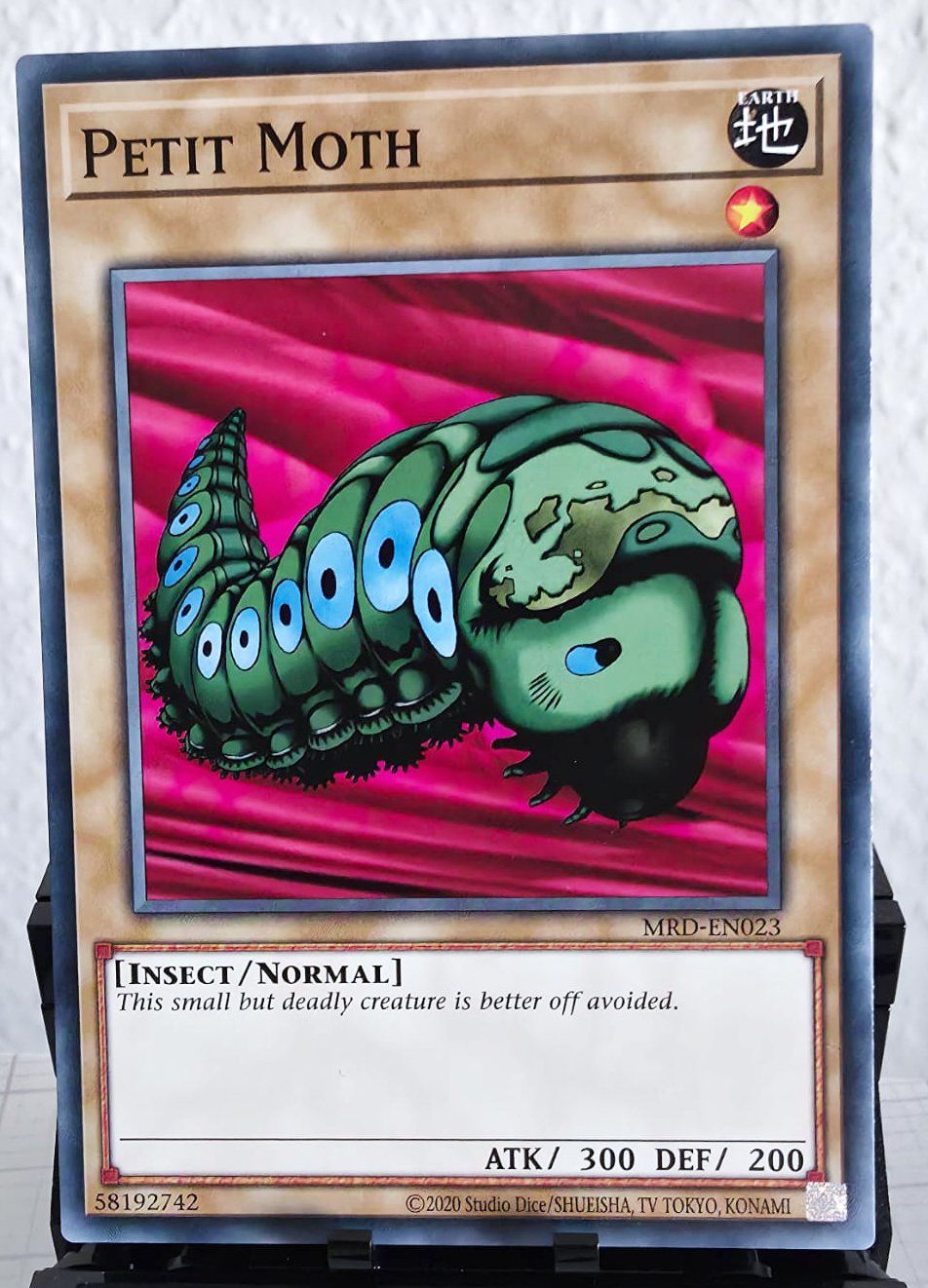Yugioh Carte collezionabili: Petit Moth - Yu-Gi-Oh! TCG – Usato da Zürich venduto da Zetto