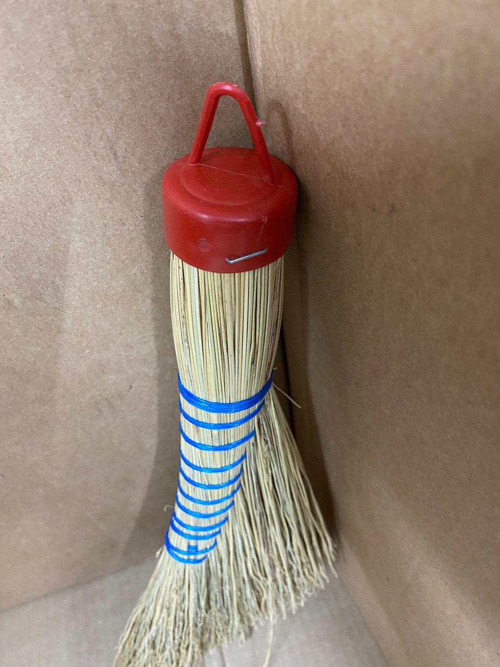 Altro in Apparecchi per la pulizia: Strohbesen klein – Usato da Eschlikon TG venduto da ArtRec 2