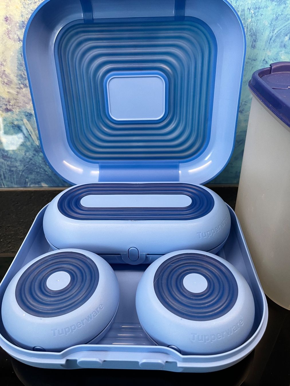 Tupperware Contenitori & Simili: Tupperware Vorratsbehälter Tupper Behälter Küchenartikel – Usato da Frauenfeld venduto da Babytimmy 1