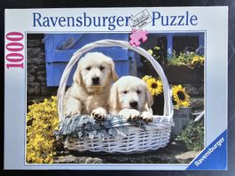 Ravensburger Puzzle 1000 Teile - Hundebabies