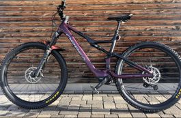 Orbea Rise H10 2026 L