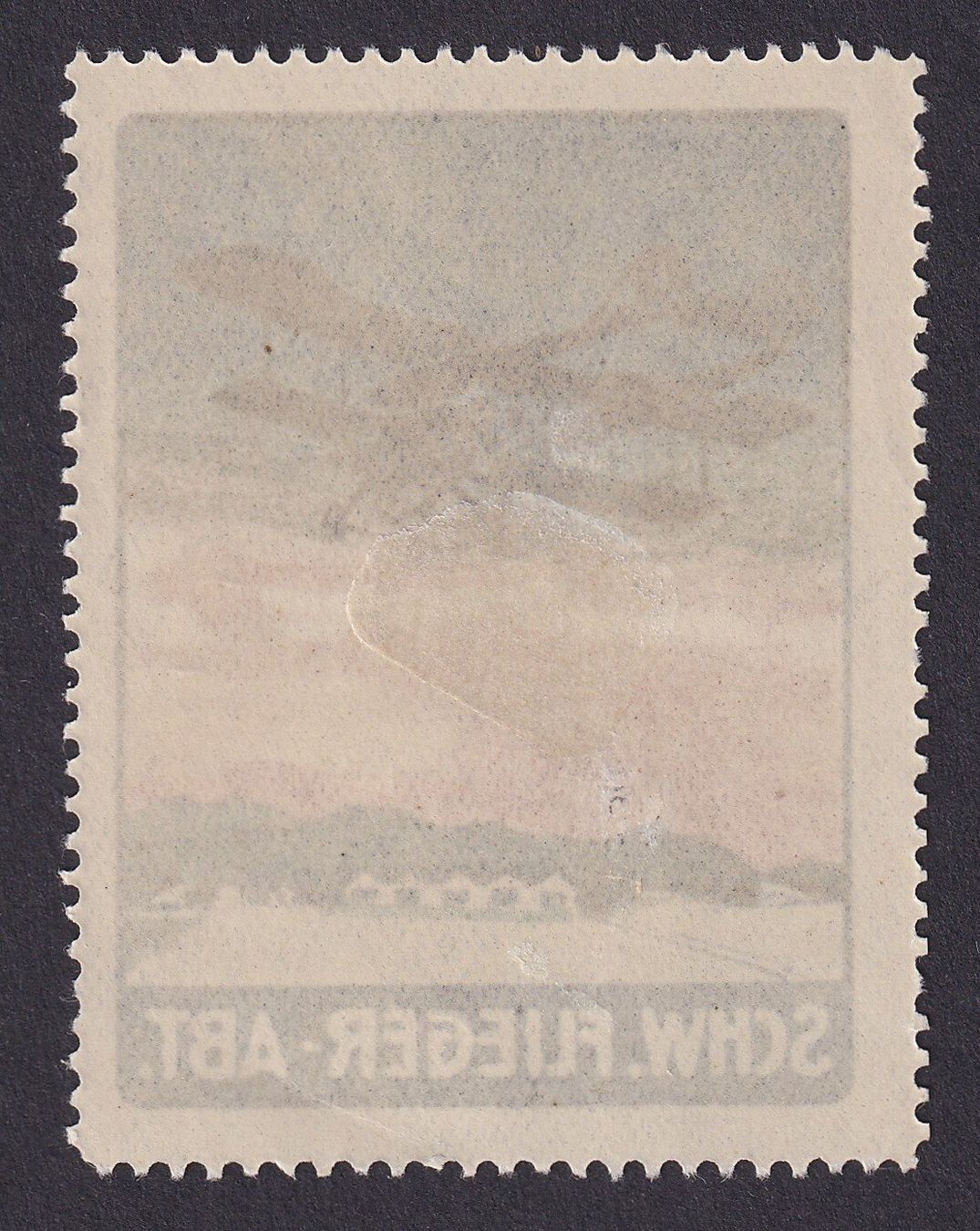 Tutti i francobolli: Flugspende Vignette 1917.1E Schw. Flieger-Abt. – Usato da Ebikon venduto da SilvioFreund 1