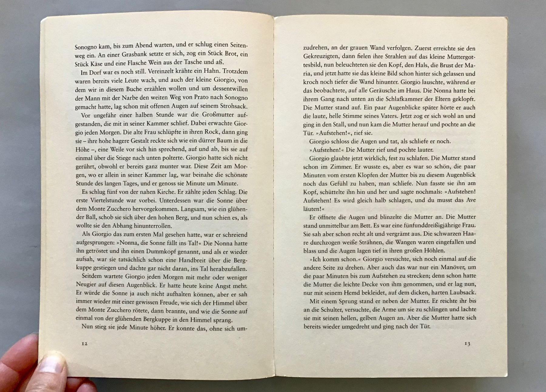 Libri: Lisa Tetzner: Die Schwarzen Brüder – Usato da Bubendorf venduto da Alpenheidi 7