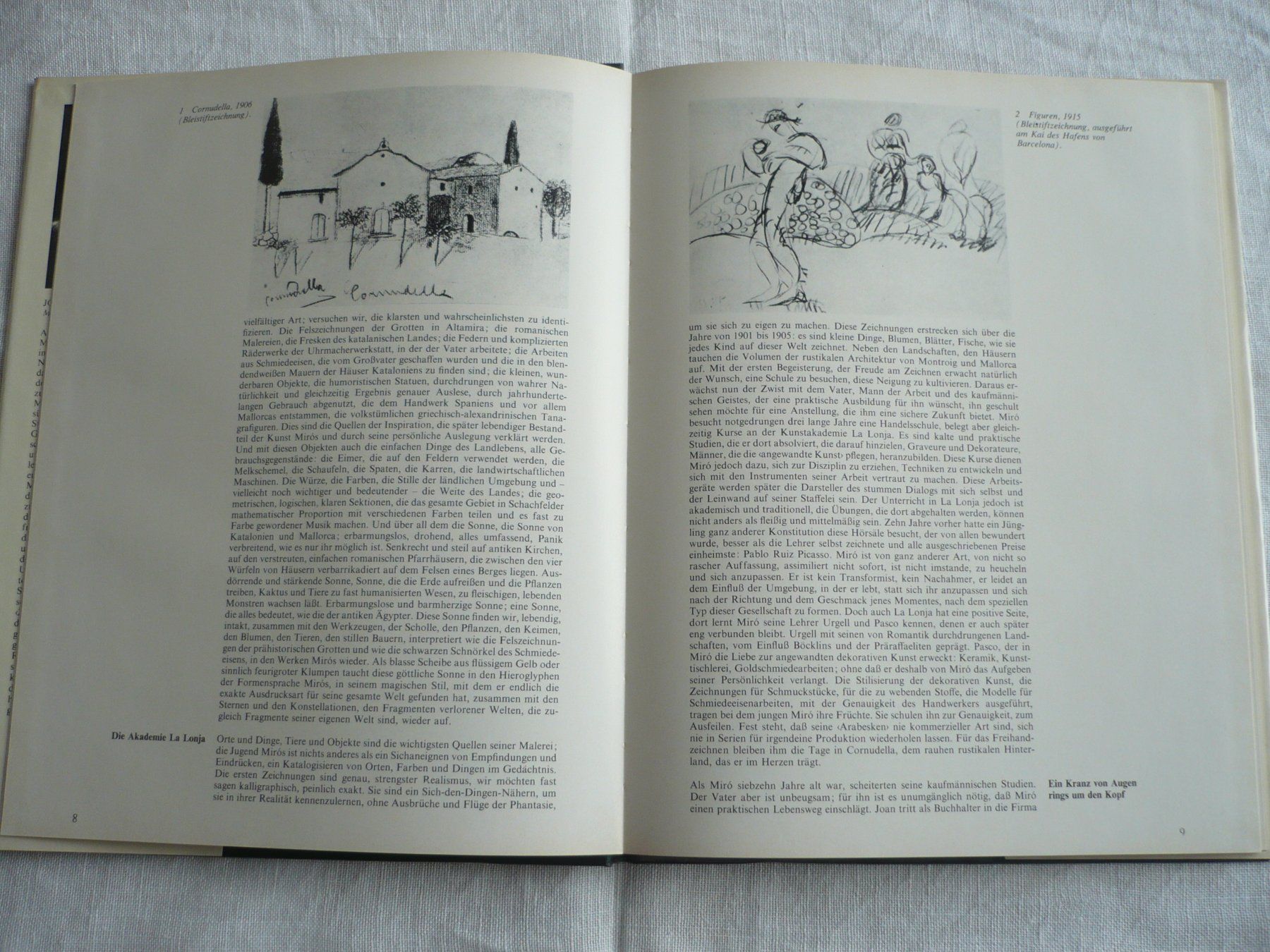 Livres: JOAN MIRO – D'occasion à Zürich par saltandpepper008 1