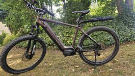 Allegro  E-Mountainbike CrossTour Pro Axm°04 