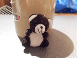 Teddy - Bär schwarz/weiss, klein