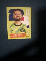 Carte Panini Patrick Vazbek aus16