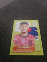 PANINI WM 2026 KOR 15
