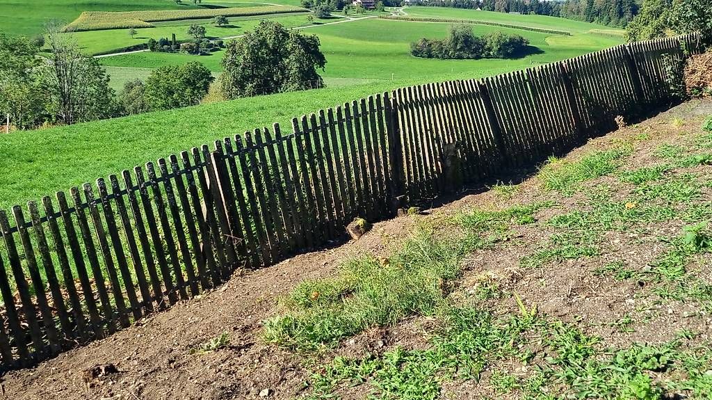 Altro in Antiquarato & Arte: Alter Gartenzaun – Difettoso da Hinwil venduto da miezis00