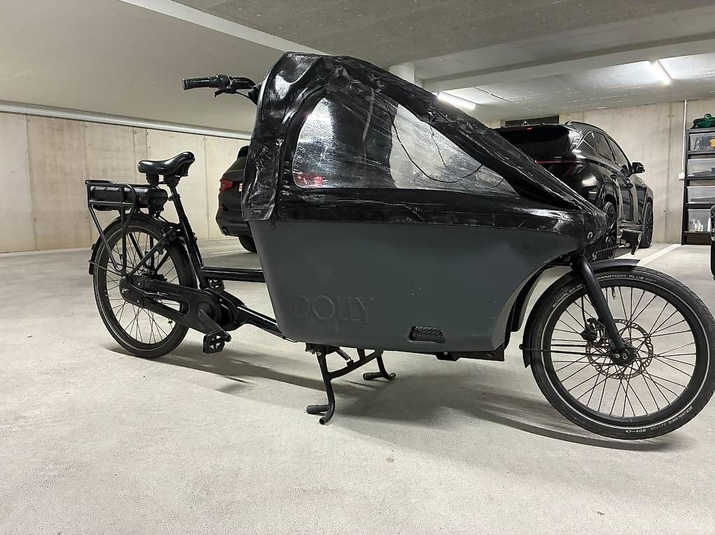 Motoren: Dolly joy Bafang Motor – Gebraucht aus Riehen von carinnyy 4