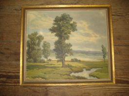 Bild "See und Bäume"