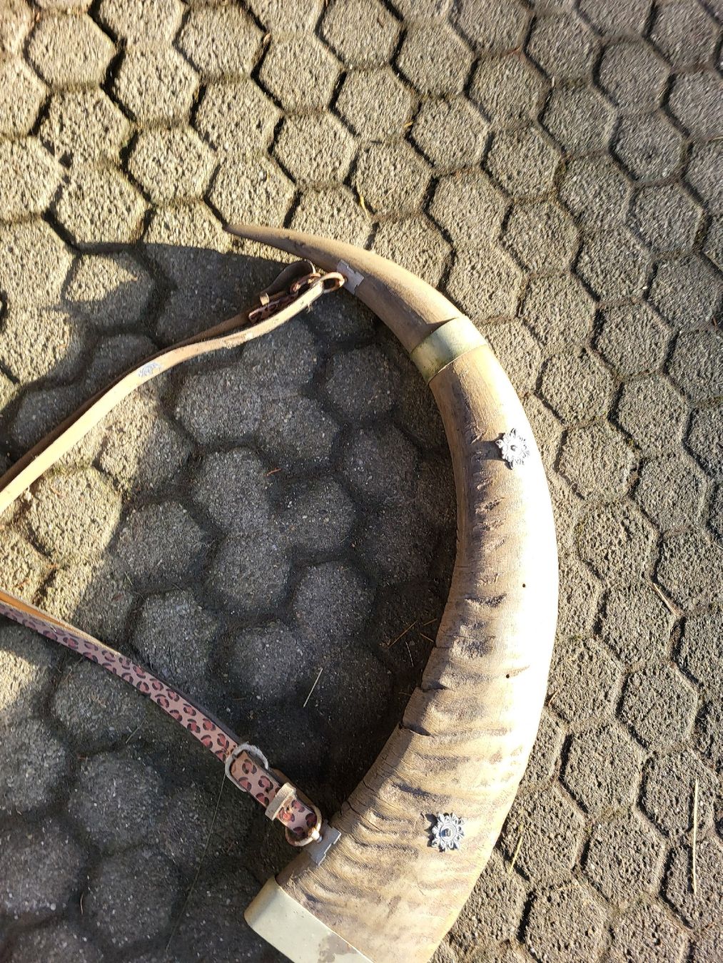Tutte le decorazioni: Trinkhorn: Büffel oder Rind – Usato da Schönenberg ZH venduto da Samichlaus71 5