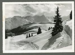  AK sw Arosa GR Weg zum Arlenwald ≈ 1947 