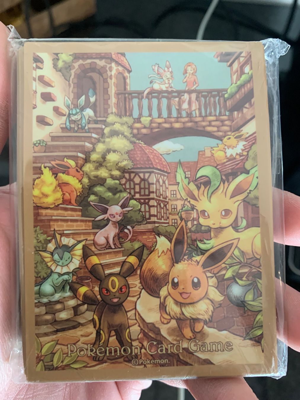 Pokémon Carte collezionabili: Evee Heroes Kartenhüllen und Deckbox – Nuovo e nell'imballaggio originale da Ringgenberg BE venduto da gemkeeper