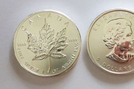 1oz Feinsilber - CANADA, 5 Dollar 2011 - Elisabeth II, stgl.