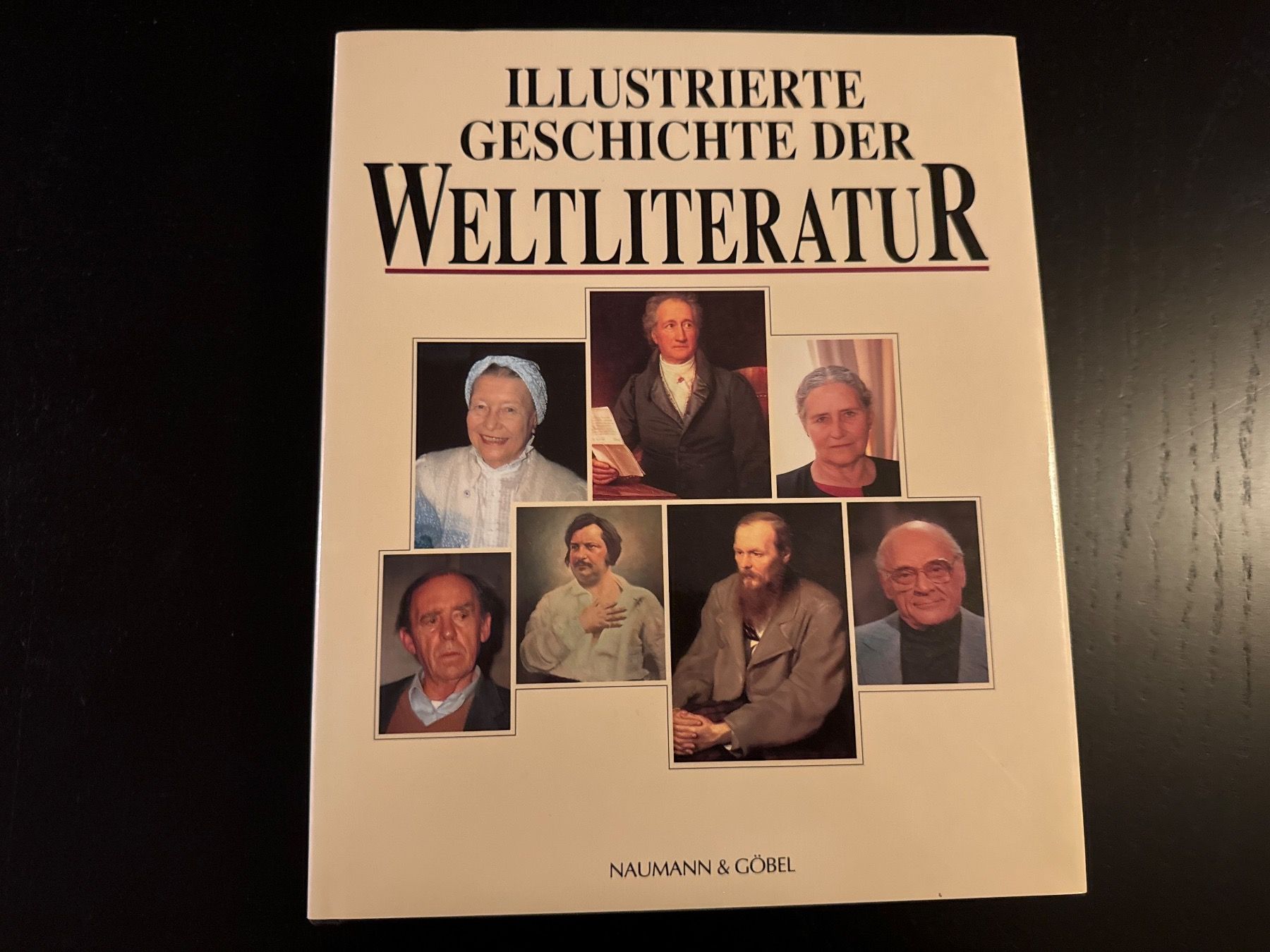 Bücher: Illustrierte Geschichte der Weltliteratur – Gebraucht aus Erstfeld von Mario_boe0