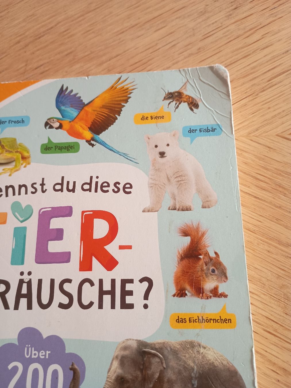 Audiolibri: Tip Toi Bücher – Usato da Gersau venduto da .InAn. 3