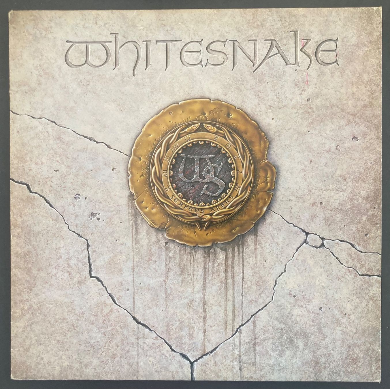 Vinyles: WHITESNAKE - WHITESNAKE – D'occasion à Poliez-Pittet par Newtown-Records