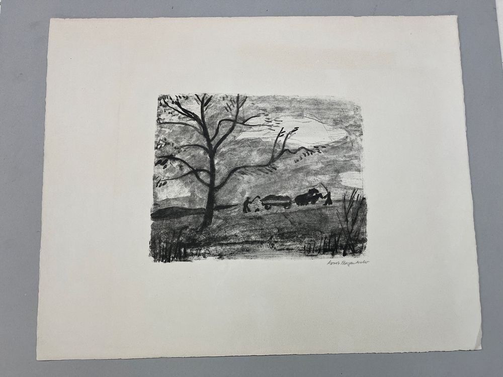 Grafica & Litografie: ERNST MORGENTHALER LITHOGRAPHIE BLATTGRÖSSE 56X45CM – Usato da Gersau venduto da grafik-kunst 2