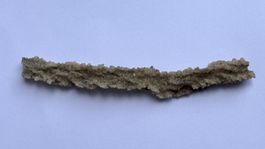 Fulgurit, ein faszinierendes Naturphänomen, Länge ca. 10 cm