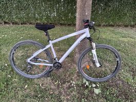 Mountain Bike white frame