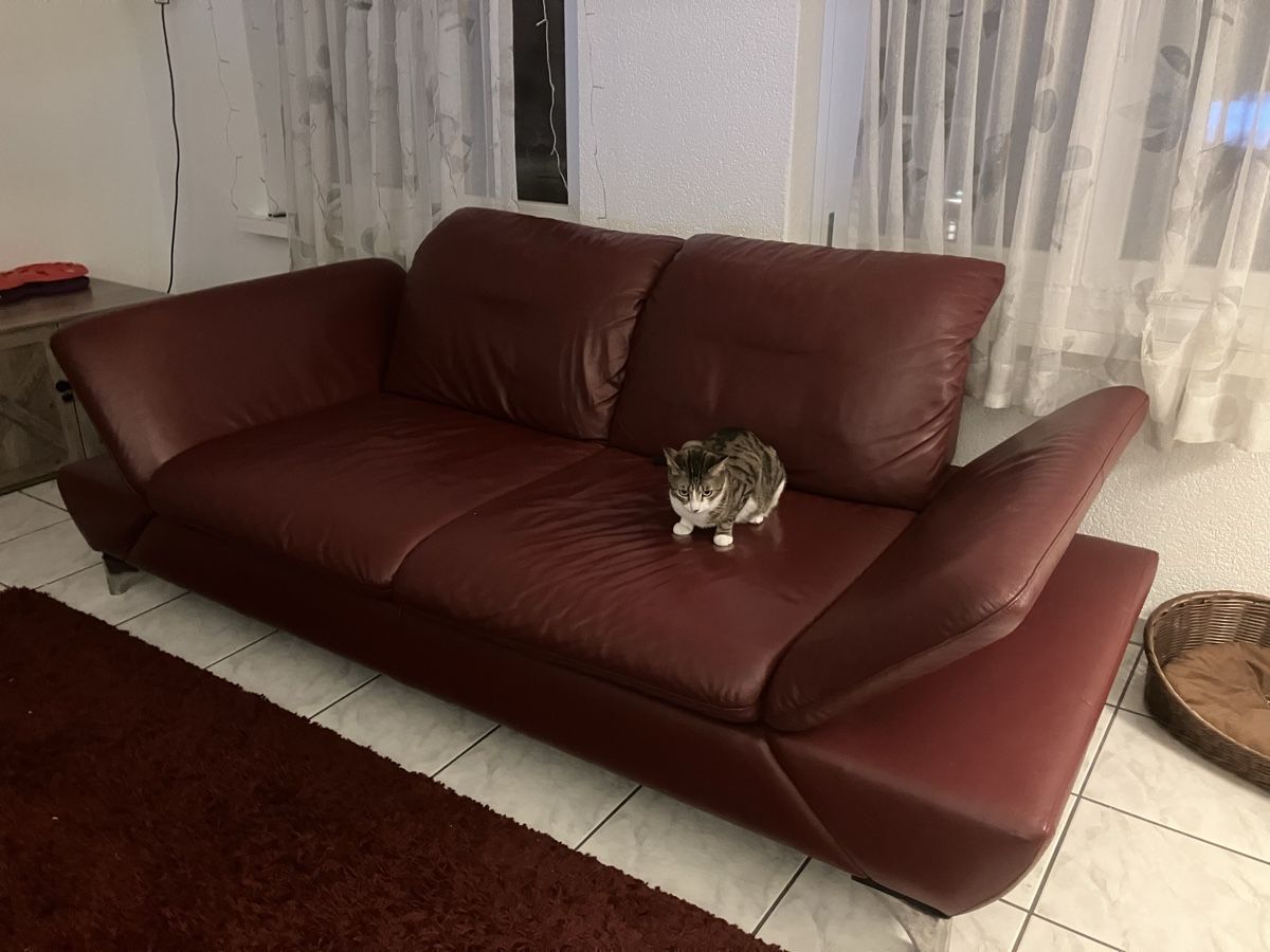 Divani: Rotes Ledersofa – Usato da Wolfisberg venduto da CRUISER1530