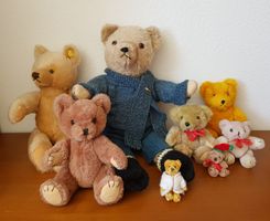 Teddybärensammlung (inkl. Steiff-Teddy)