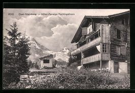 Ober-Steinberg, Hotel Pension Tschingelh