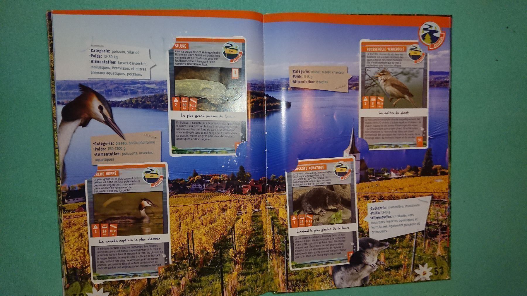 Libri: La Nature quelle Aventure – Usato da Cortaillod venduto da signep 7
