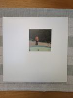 Monoski - Pool Party