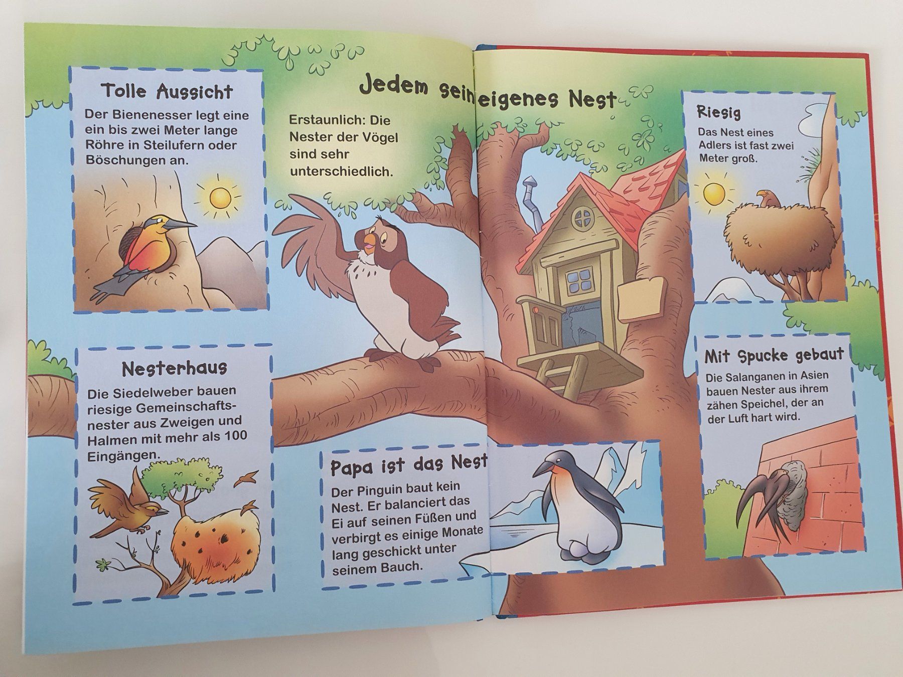 Libri: Winnie Puuh - Entdecke Vögel / Disney – Usato da Oberdorf BL venduto da BaldenEagle 2