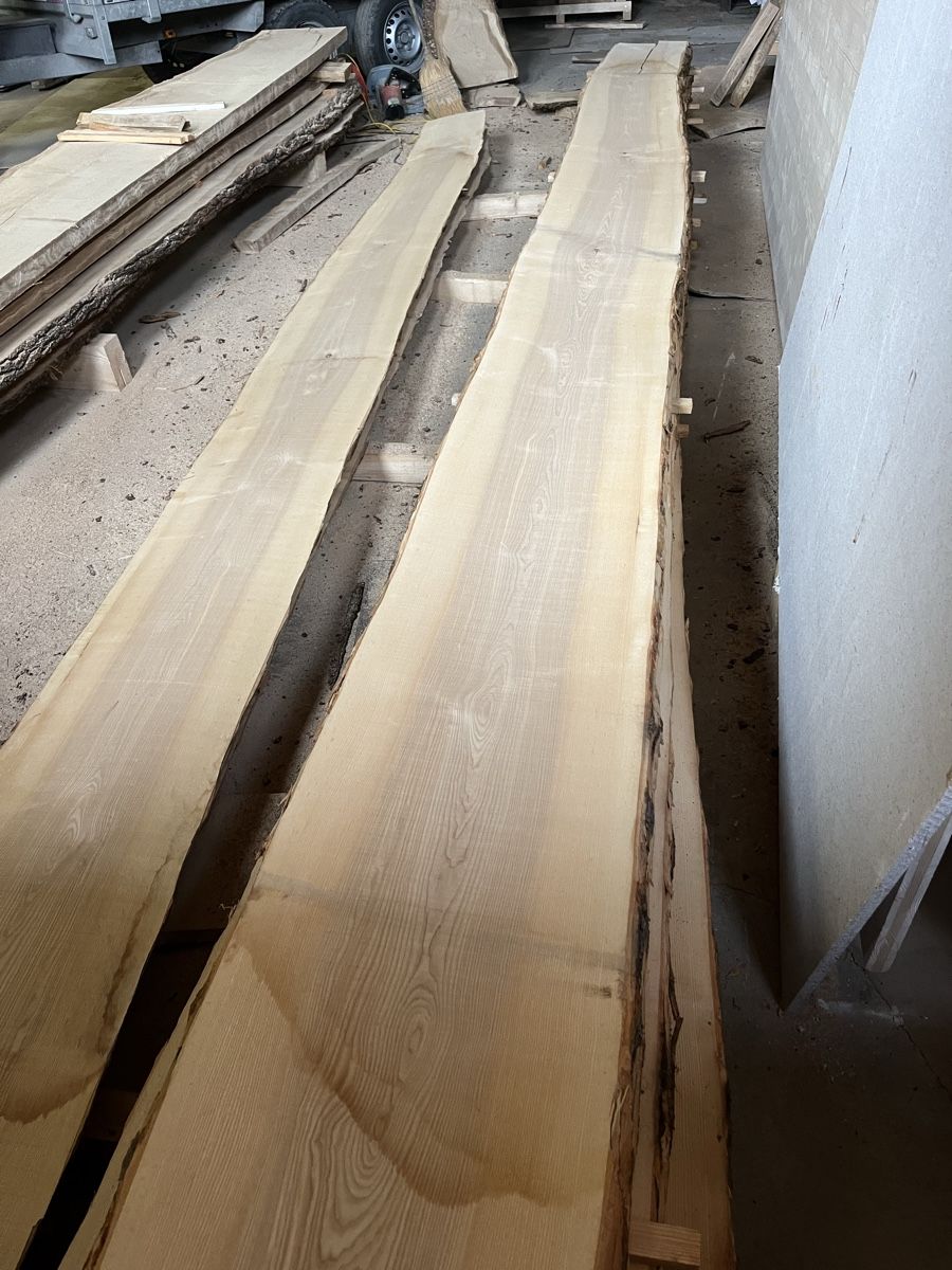 Articoli in legno: Eschen Bretter – Nuovo (secondo la descrizione) da Gamprin venduto da ha6 2
