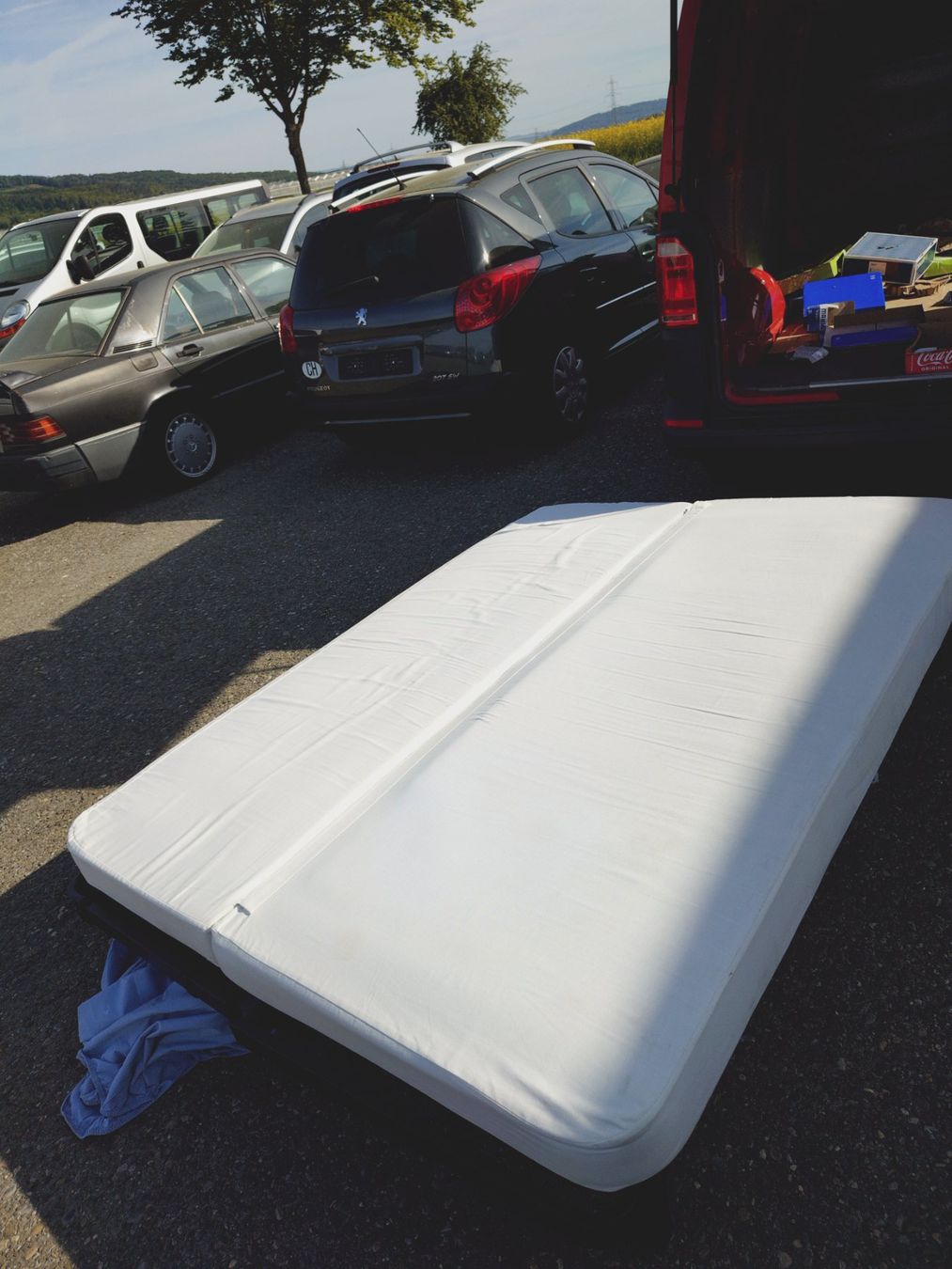 Ikea Divani: gebrauchtes IKEA NYHAMN Bettsofa (3er Sofa) – Usato da Freienwil venduto da smeik111 2