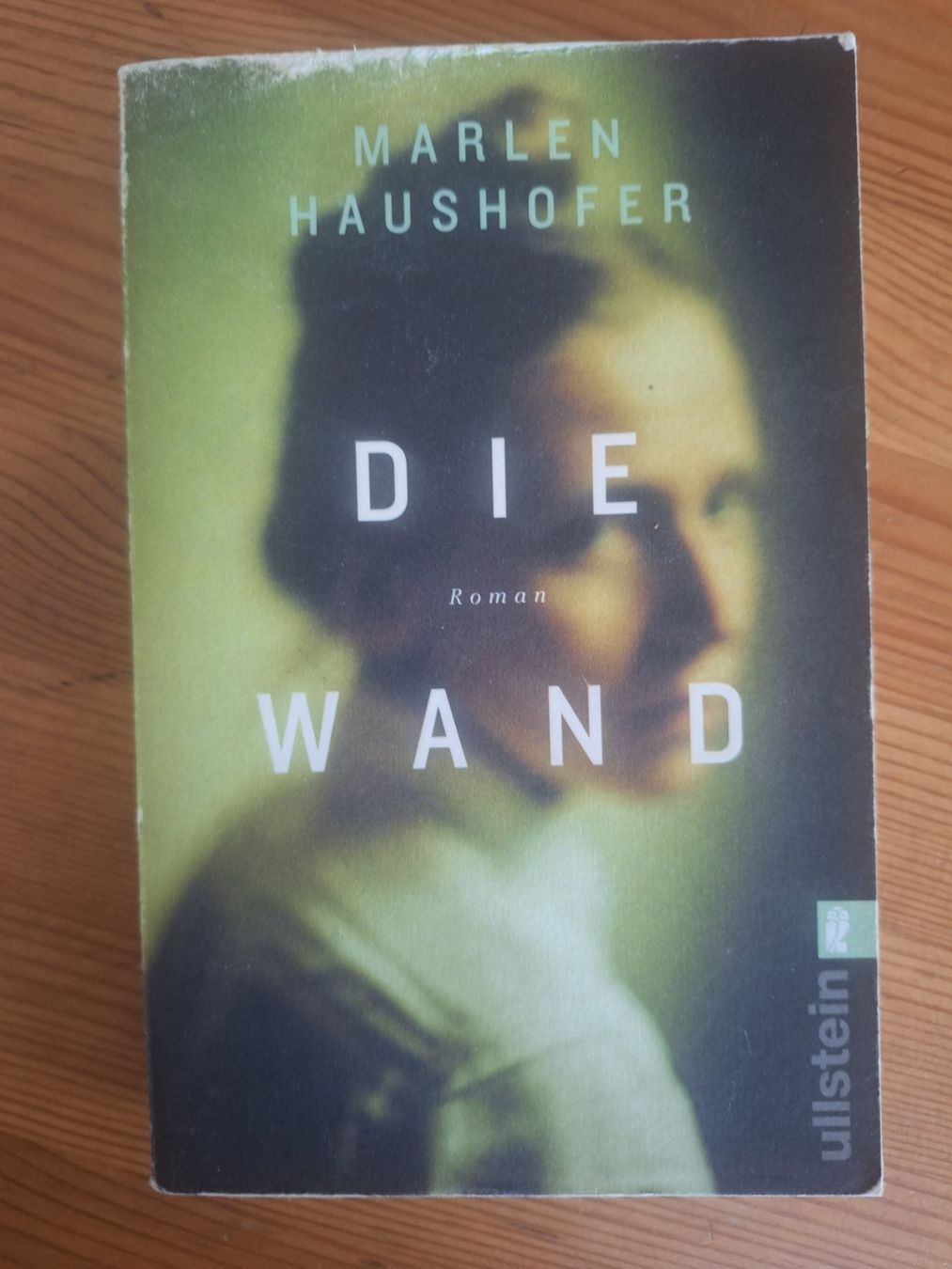 Bücher: Marlen Haushofer - Die Wand, Roman, Ullstein – Gebraucht aus Horw von neigette