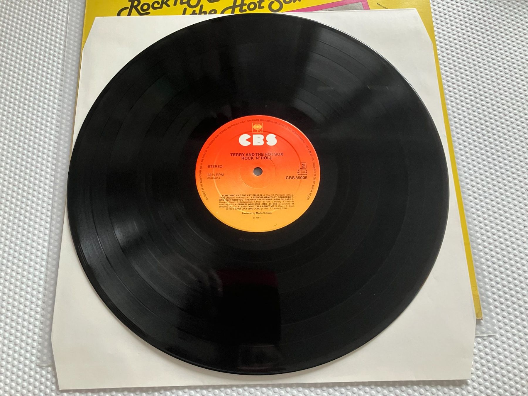 Dischi in vinile: Terry And The Hot Sox – Usato da Aarwangen venduto da Jukebox3 8