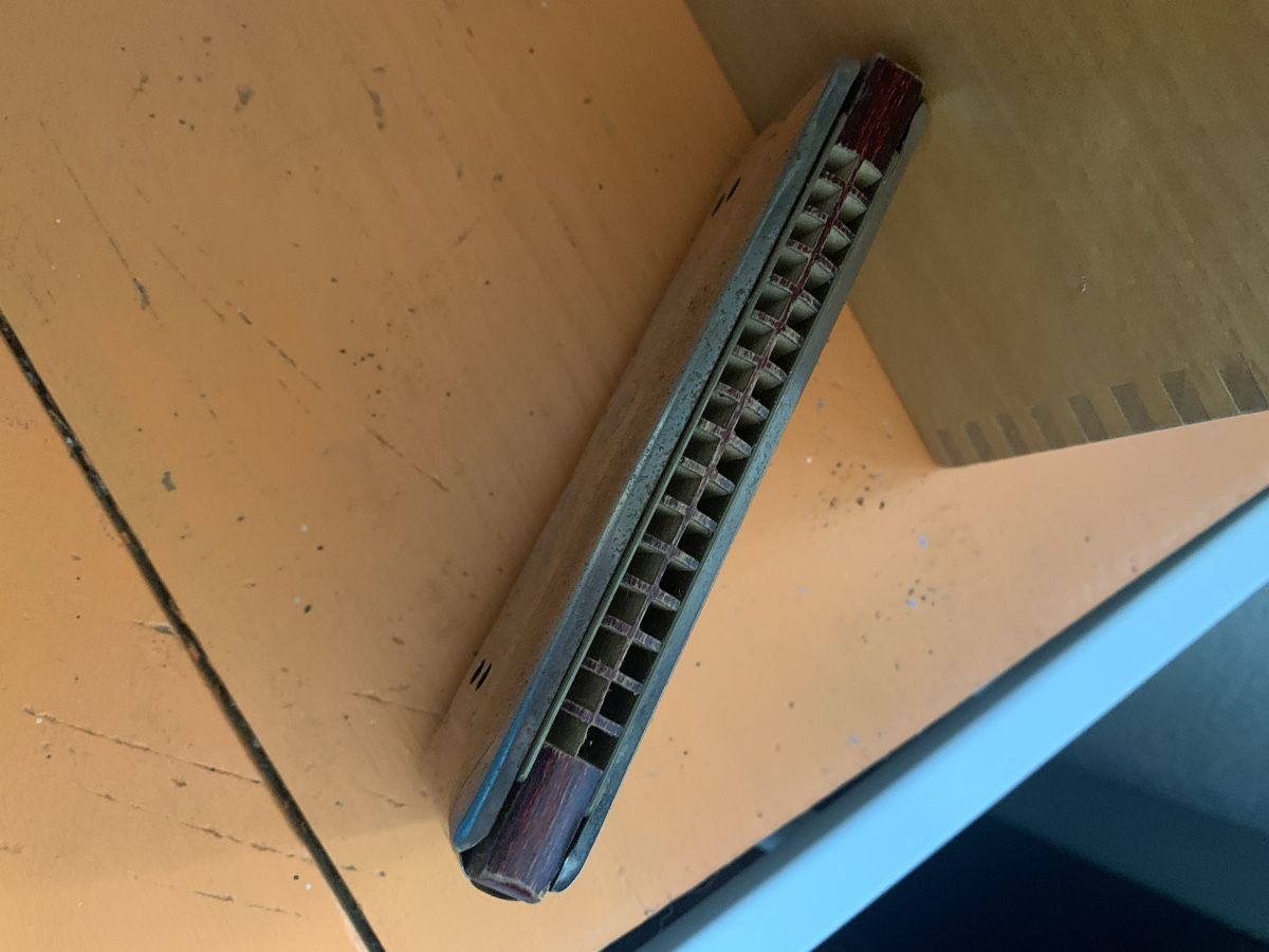 Strumenti musicali: Mundharmonika – Usato da Brugg AG venduto da Simone92 2