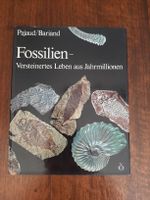 Buch Fossilien