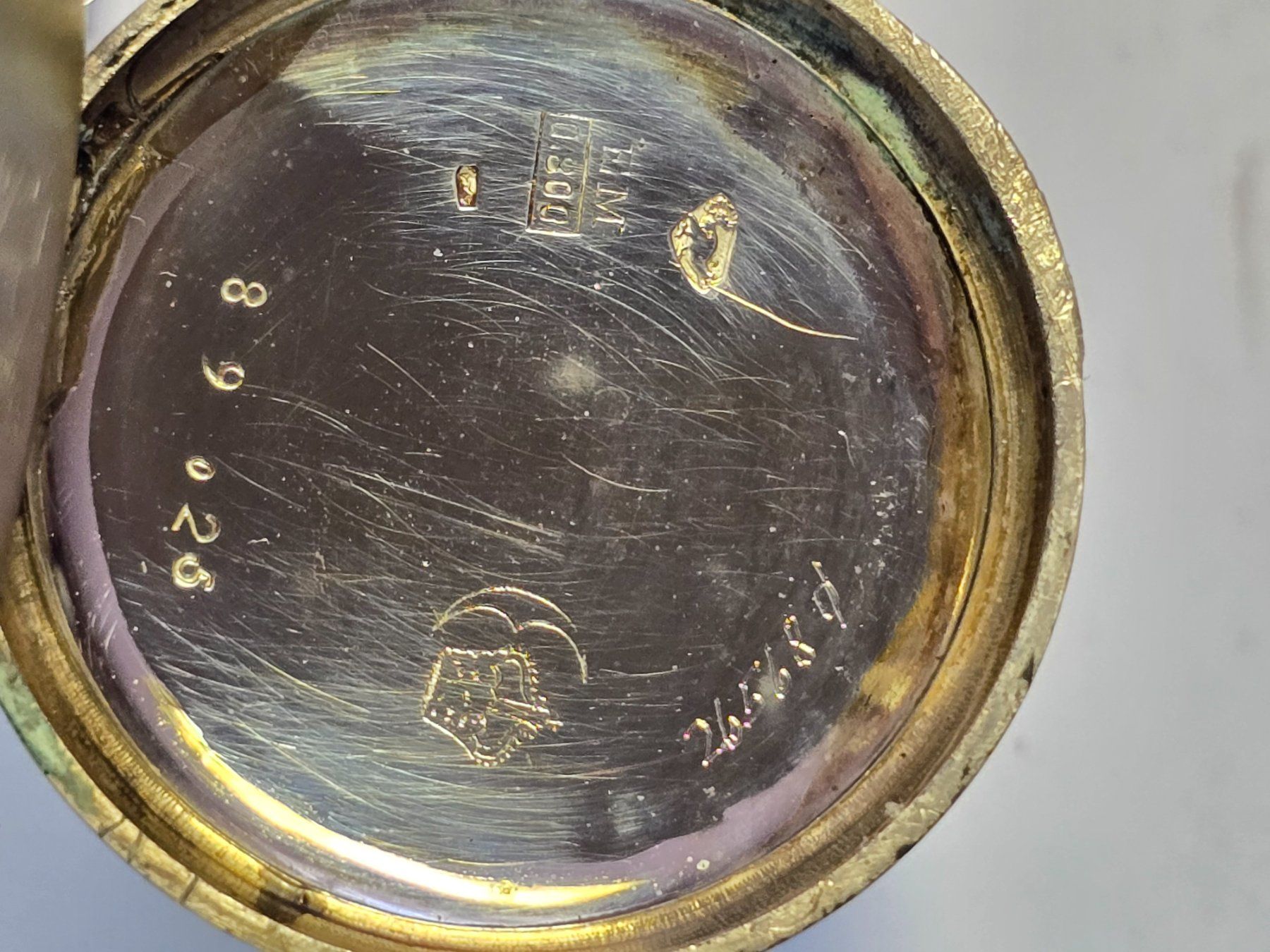 Orologi: Silberdamentaschenuhr 0.800  Läuft – Usato da Ennetbürgen venduto da 50shafali53 2