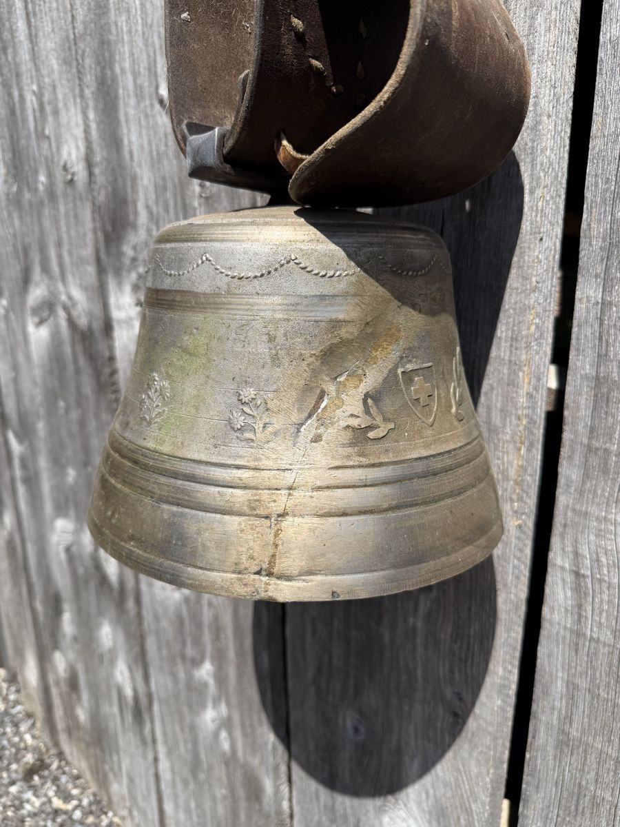 Campanacci mucche: Grosse Glocke mit breitem Riemen – Usato da Sargans venduto da foxtrading 4