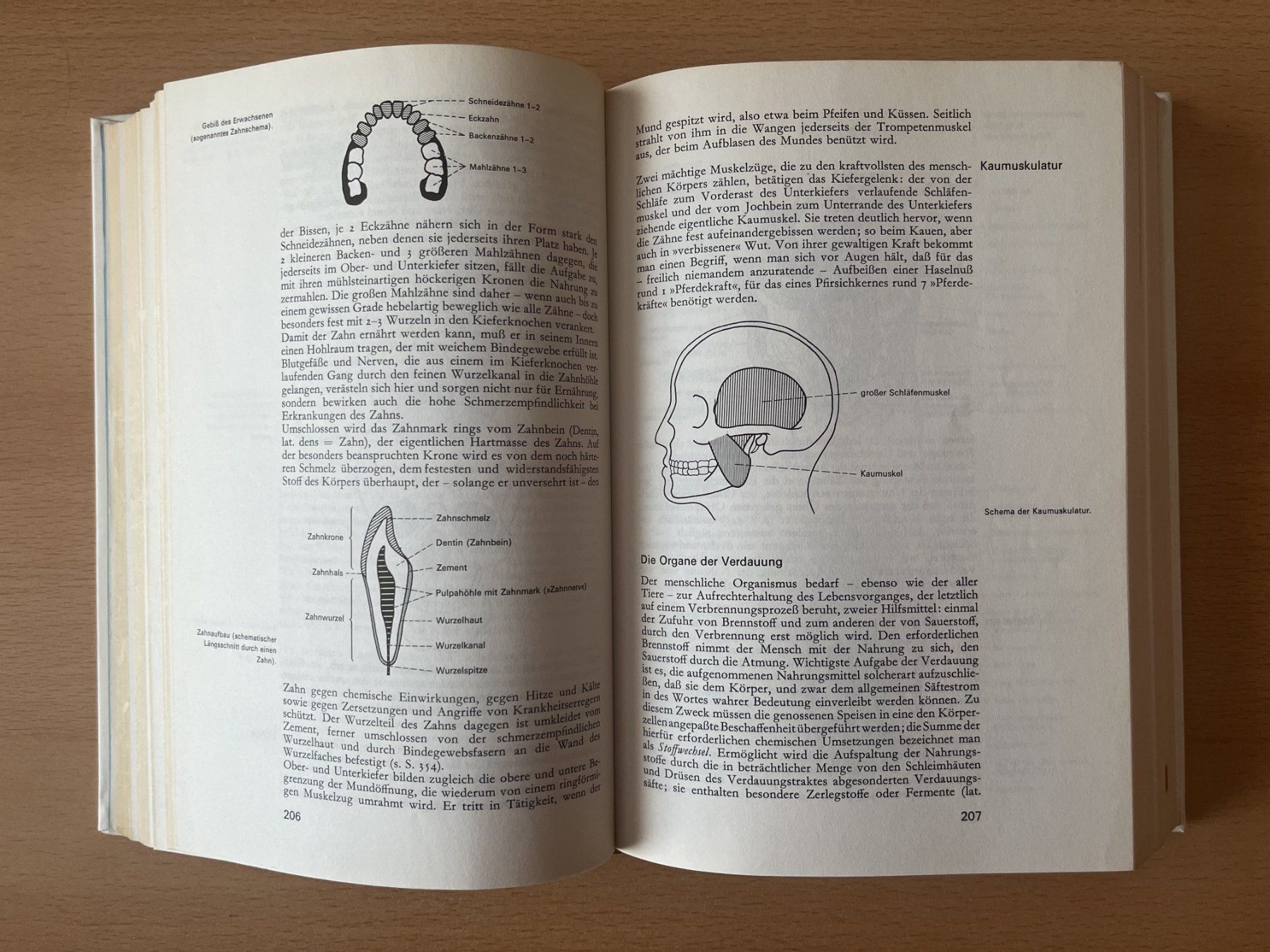 Libri: Das neue grosse Gesundheitsbuch – Usato da Lausen venduto da Mondeo10628 4