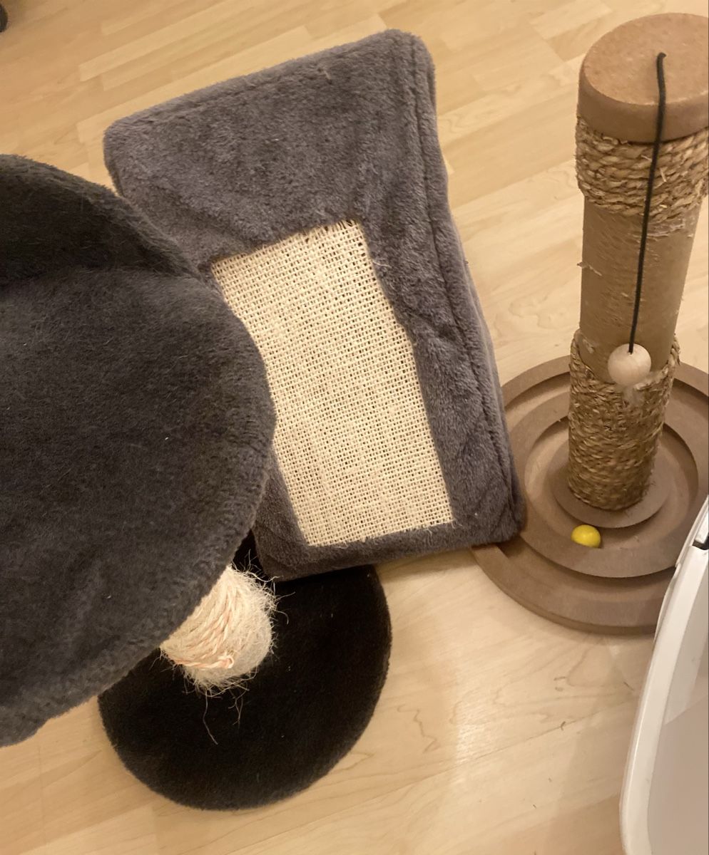 Tiragraffi: Gratis Katzenzubehör – Usato da Neuhausen venduto da Melkun1113 3