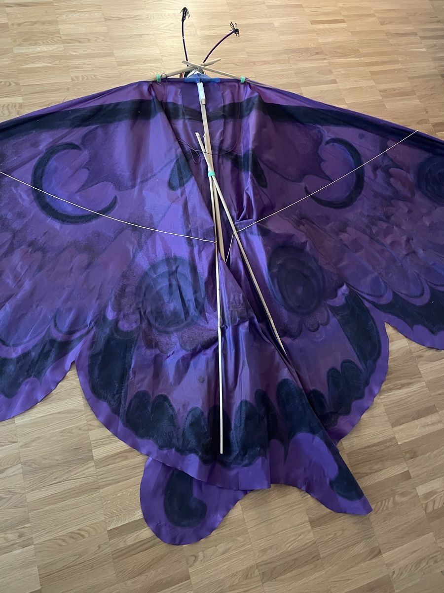 Tutte le decorazioni: riesengrosser Schmetterling – Usato da Schwerzenbach venduto da schwerzi70 6