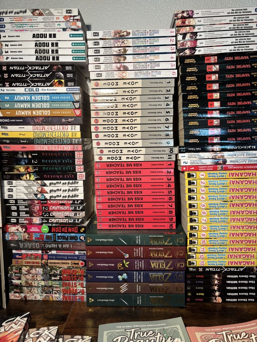Fumetti: Grosse Manga-Sammlung 209 Bände  – Usato da Jonen venduto da Sschriber 2