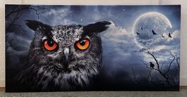 Leinwandbild „Eule“ 120 x 60 x 2 cm