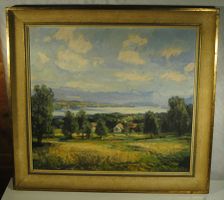 Sommer am Zürichsee Oel auf Pavatex